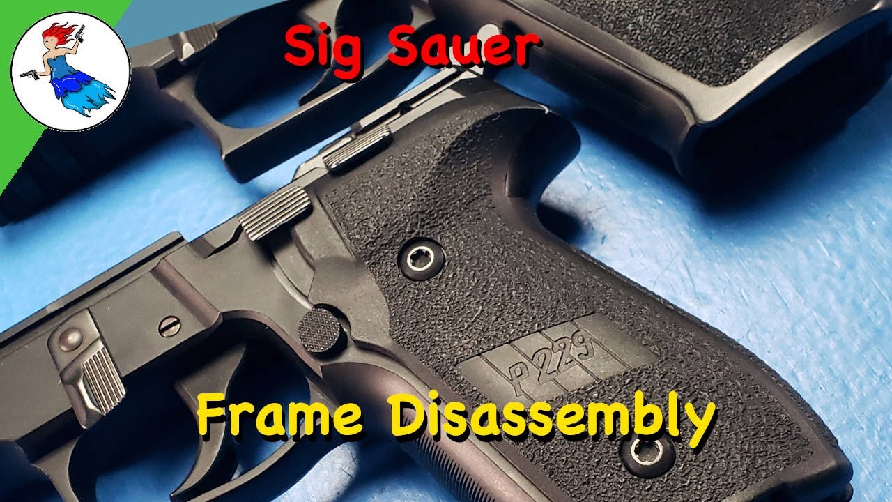 Disassemble a Sig Sauer P229 pistol frame close-up showing grip and controls before disassembly