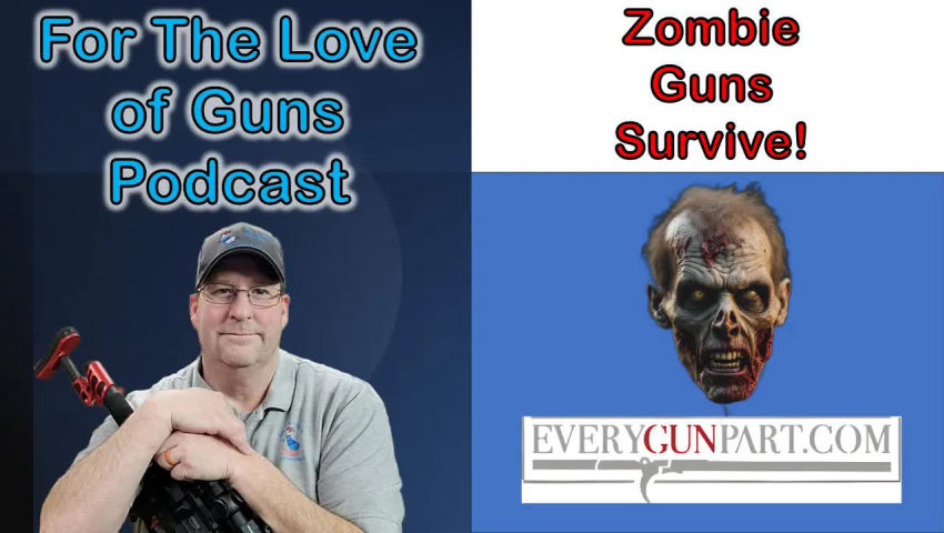 Zombie Guns