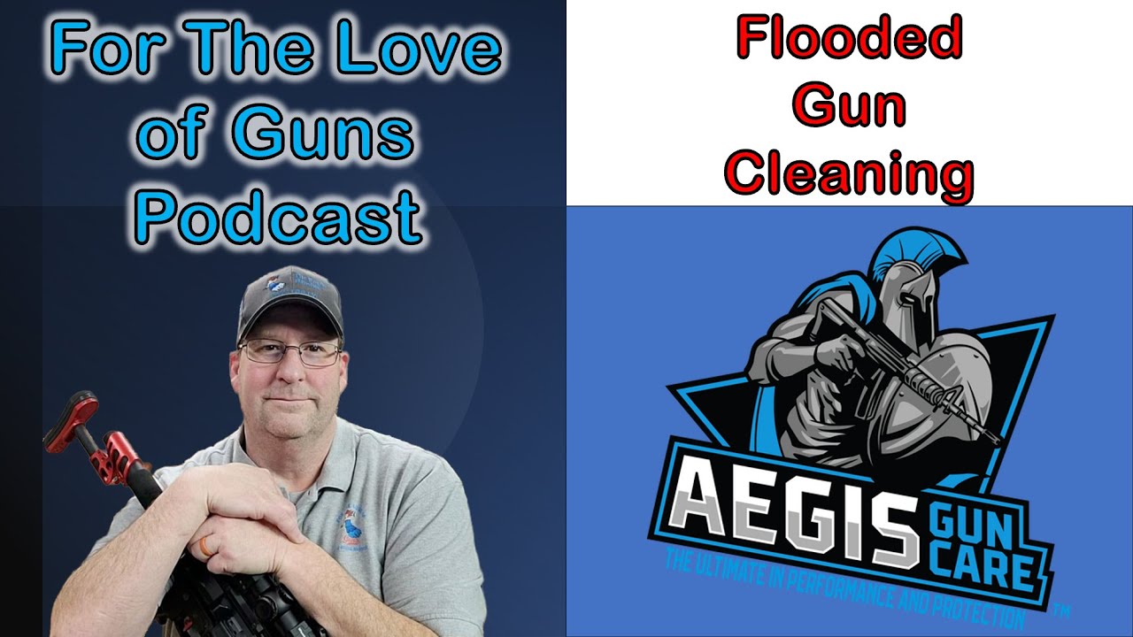 Aegis Gun Care